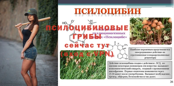 винт Алзамай
