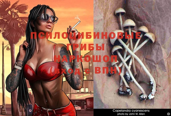 винт Алзамай