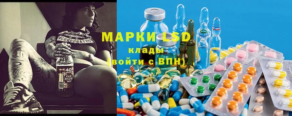 винт Алзамай