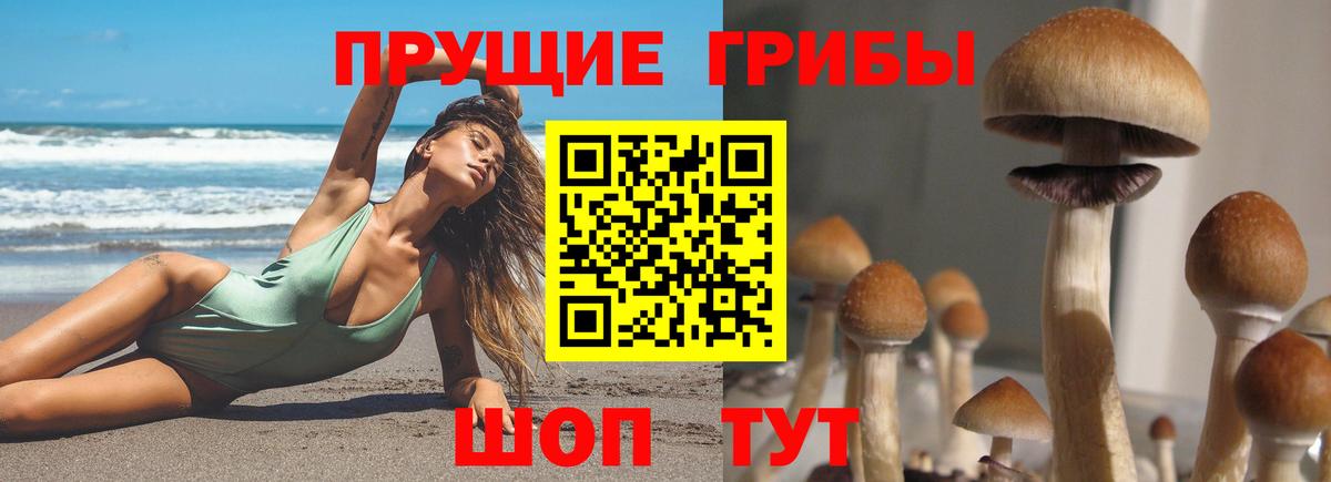 Галлюциногенные грибы Magic Shrooms  Галлюциногенные грибы мухоморы  Джанкой  Вход с VPN 